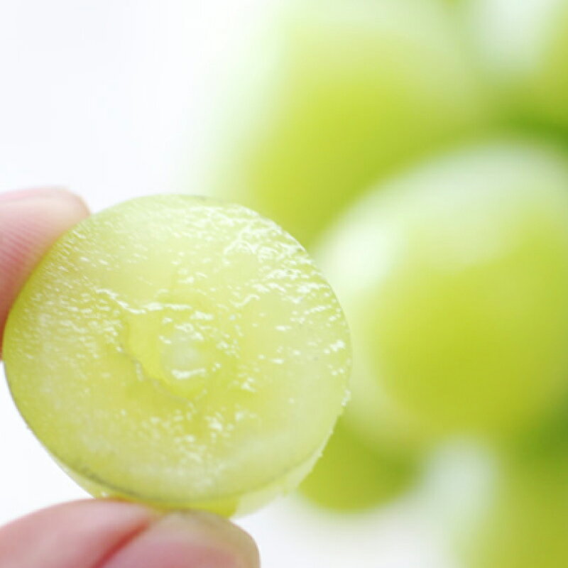 【ふるさと納税】 ぶどう シャインマスカット 氷温貯蔵 長野県産 シャインマスカット 約1kg 秀品 〈2025年11月上旬～12月下旬発送〉| 果物 くだもの フルーツ シャインマスカット ぶどう ブドウ 葡萄 長野県 信州 南信州 飯田市 B45 サムネイル3