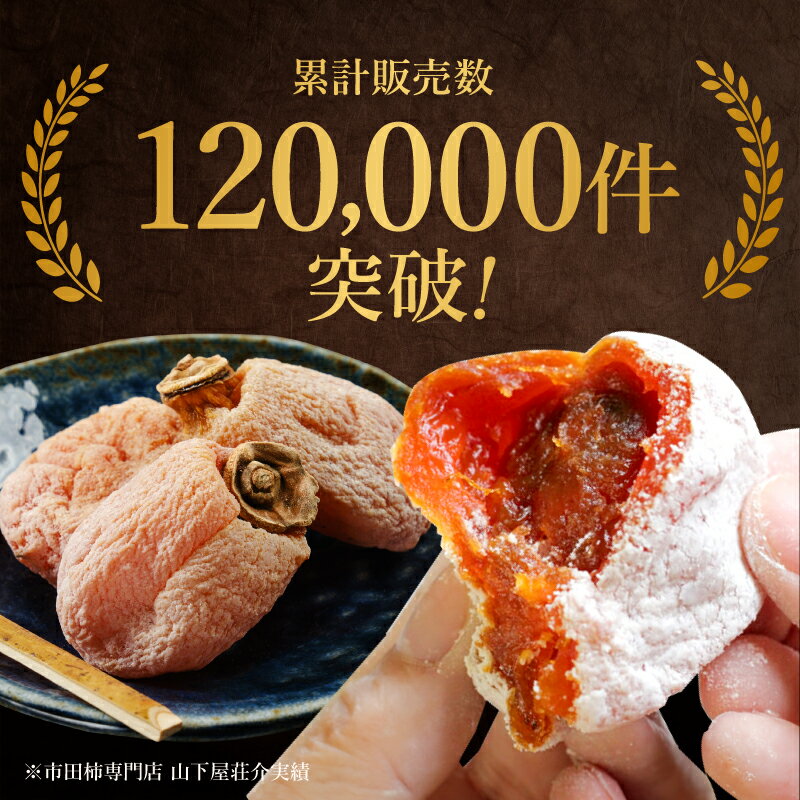 【ふるさと納税】 市田柿 信州 の 特産品 市田柿 ご家庭用 500g × 2袋 ＜2026年1月上旬〜2月下旬発送＞ | 果物 くだもの フルーツ 柿 かき 市田柿 長野県 信州 南信州 飯田市 B07 サムネイル2