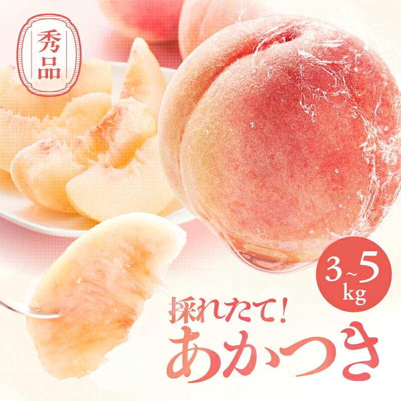 【2026年予約販売】 長野県産 桃 あかつき 秀品 選べる 内容量 約3kg or 約5kg 〈2026年7月中旬～8月中旬発送〉| 桃 もも モモ あかつき 長野県 産地直送 くだもの 果物 フルーツ デザート 送料無料 長野県 飯田市【B09 B18】