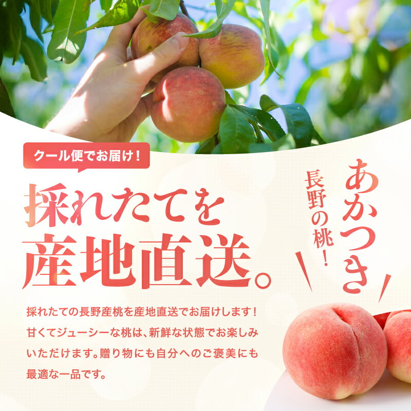 【ふるさと納税】【2026年予約販売】 長野県産 桃 あかつき 秀品 選べる 内容量 約3kg or 約5kg 〈2026年7月中旬～8月中旬発送〉| 桃 もも モモ あかつき 長野県 産地直送 くだもの 果物 フルーツ デザート 送料無料 長野県 飯田市【B09 B18】 - 画像2