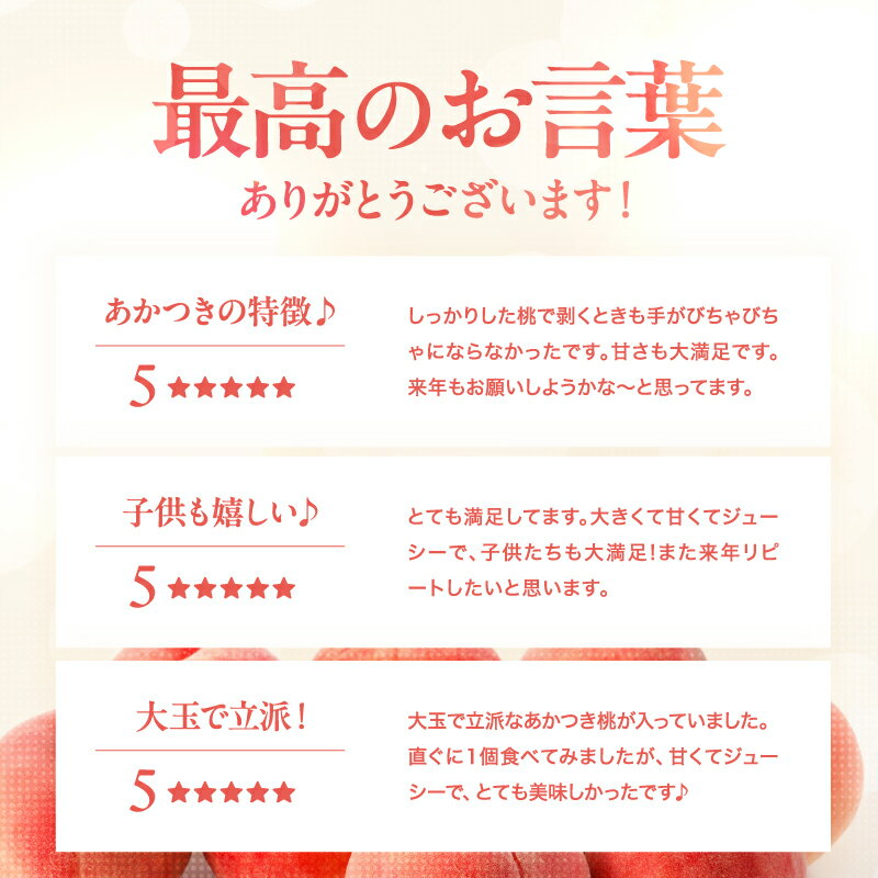 【ふるさと納税】【2026年予約販売】 長野県産 桃 あかつき 秀品 選べる 内容量 約3kg or 約5kg 〈2026年7月中旬～8月中旬発送〉| 桃 もも モモ あかつき 長野県 産地直送 くだもの 果物 フルーツ デザート 送料無料 長野県 飯田市【B09 B18】 - 画像3