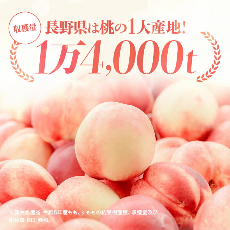 【ふるさと納税】 長野県産 桃 あかつき 秀品 選べる 内容量 約3kg or 約5kg 〈2026年7月中旬～8月中旬発送〉| 桃 もも モモ あかつき 長野県 産地直送 くだもの 果物 フルーツ デザート 送料無料 長野県 飯田市【B09 B18】 - 画像2