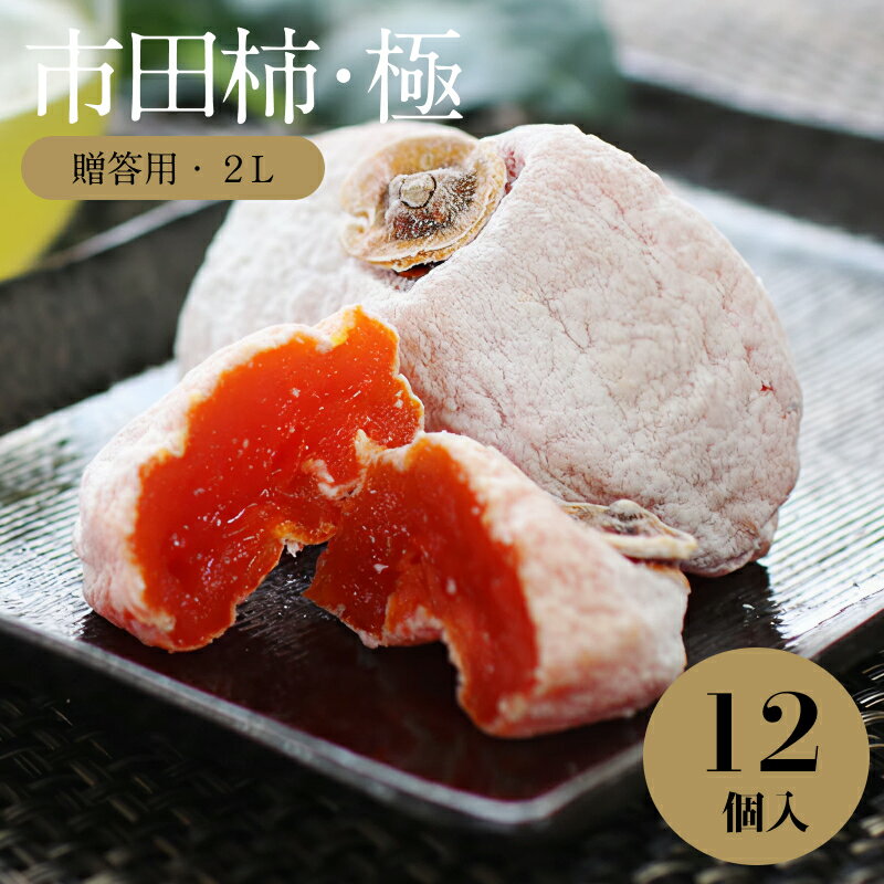 市田柿 信州 の 特産品 市田柿 極 贈答用 2Lサイズ 12個入 〈2026年1月上旬〜2月下旬発送〉| 果物 くだもの フルーツ 柿 干し柿 かき 長野県 信州 南信州 飯田市 B22
