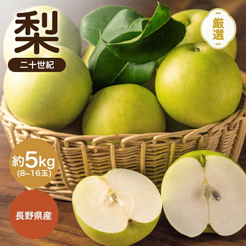 【2026年先行予約】二十世紀 秀品 約5kg 8〜16玉 JAみなみ信州DMセンター飯田市 | 二十世紀 二十世紀梨 梨 ナシ なし フルーツ 果物 ジューシー 信州 南信州 送料無料 ふるさと納税 長野県 飯田市 K22