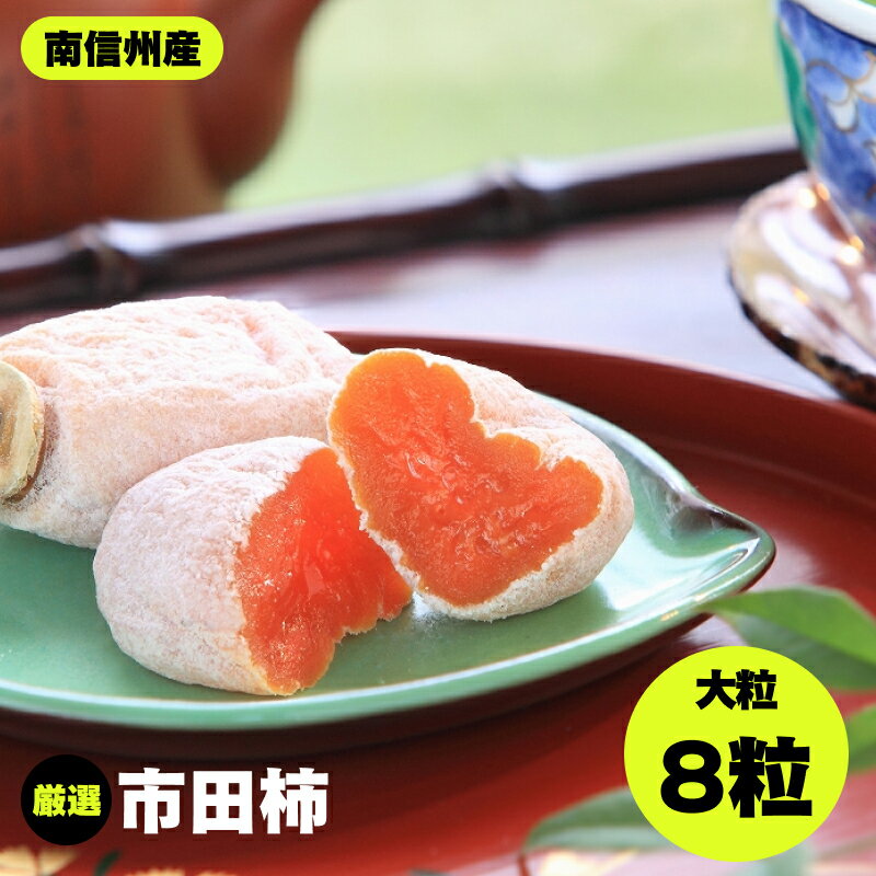 市田柿 化粧箱 大粒 厳選 8粒 JAみなみ信州DMセンター | 柿 かき 干し柿 干しがき 市田柿 ドライフルーツ 甘い やわらか 果物 フルーツ 信州 南信州 送料無料 ふるさと納税 長野県 飯田市 K33