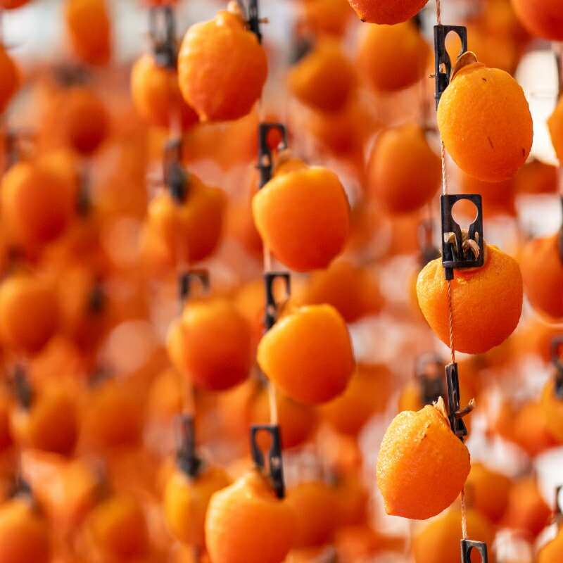 【ふるさと納税】 市田柿 化粧箱 大粒 厳選 8粒 JAみなみ信州DMセンター | 柿 かき 干し柿 干しがき 市田柿 ドライフルーツ 甘い やわらか 果物 フルーツ 信州 南信州 送料無料 ふるさと納税 長野県 飯田市 K33 サムネイル3