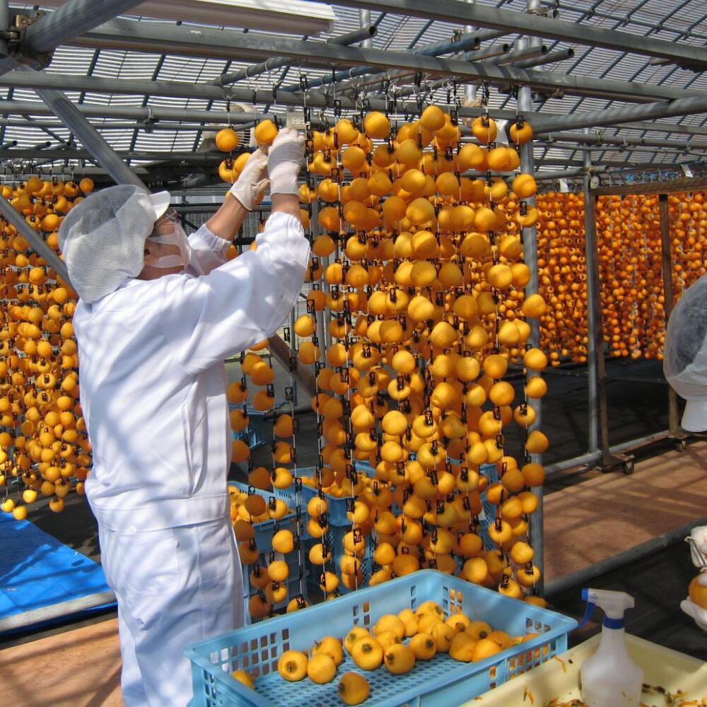 【ふるさと納税】＜もっちり食感と上品な甘さが魅力＞新物市田柿24個セット 戸田屋 | 市田柿 干し柿 干柿 肉厚 もっちり ドライフルーツ 果物 柿 新物 送料無料 ふるさと納税 長野県 飯田市 X08 サムネイル3