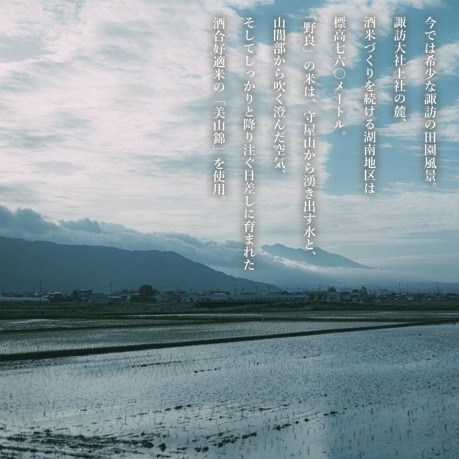 【ふるさと納税】【数量限定】日本酒 純米大吟醸 野良 720ml／ 本金 諏訪五蔵 地酒 酒 冷酒 冷や 常温 化粧箱入り 贈答品 信州 長野県 諏訪市 諏訪 【90-03】 サムネイル3