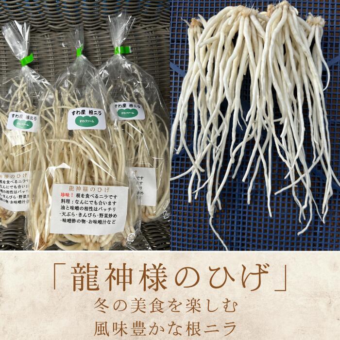 【ふるさと納税】期間限定[2026年3月20日まで受付] 根ニラ[龍神様のひげ] 全2種 700g[100g×7袋]/1,500g[100g×15袋]/ すわファーム 根ニラ ニラ 野菜 香味野菜 根菜 高原野菜 信州 長野県 諏訪市 諏訪 [91-0102] - 画像2