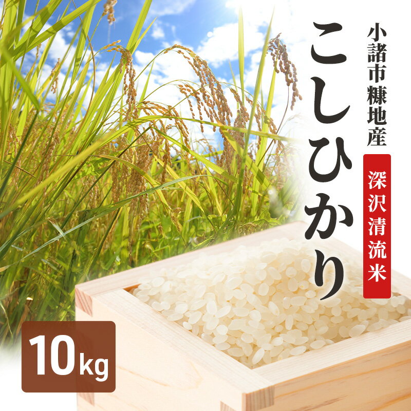 小諸市糠地産こしひかり「深沢清流米」10kg　長野 信州 コシヒカリ 精米 美味しいお米 お取り寄せ おこめ 白米　お届け：寄付入金確認後、1ヶ月以内に発送致します。
