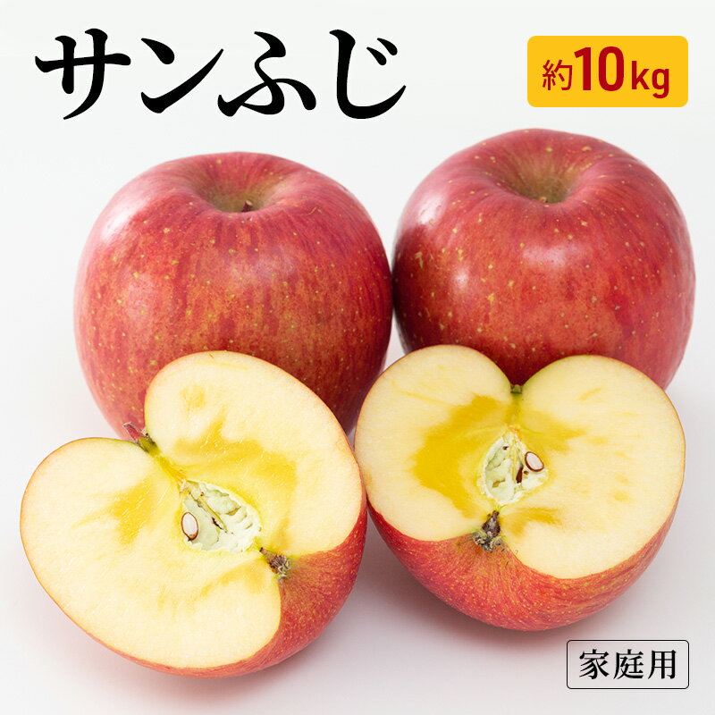 りんご サンふじ 家庭用 約10kg フルーツ 果物 甘い 訳あり おいしい 林檎 リンゴ　お届け：2026年11月下旬～12月中旬