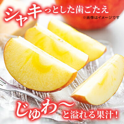【ふるさと納税】りんご サンふじ 家庭用 約10kg フルーツ 果物 甘い 訳あり おいしい 林檎 リンゴ　お届け：2026年11月下旬～12月中旬 - 画像3