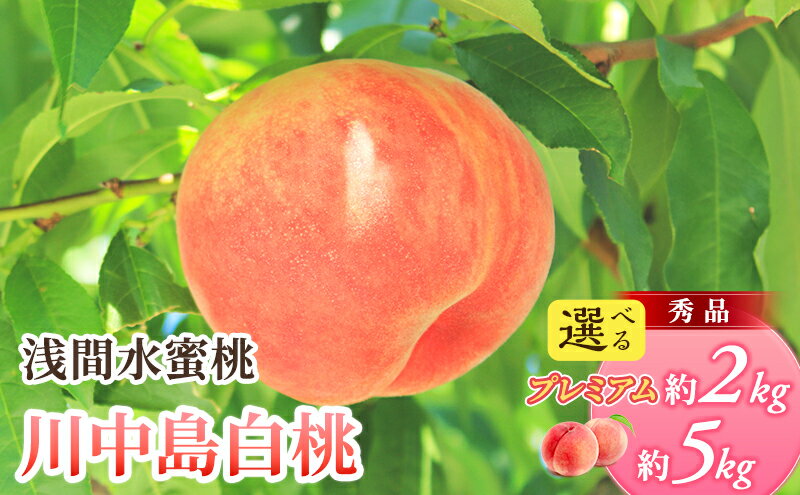【ふるさと納税】先行予約 2026年発送 浅間水蜜桃 もも 川中島白桃 選べる容量(「浅間水蜜桃プレミアム」 秀品 約2kg 5～9玉/秀品 約5kg) 長野県産 小諸市 桃 果物 フルーツ モモ 果肉　お届け：2026年8月上旬～8月中旬 ※天候によりお届け時期が前後する場合があります。 - 画像2