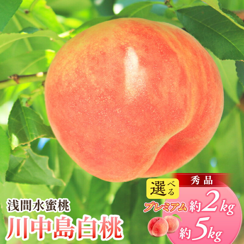 先行予約 2026年発送 浅間水蜜桃 もも 川中島白桃 選べる容量(「浅間水蜜桃プレミアム」 秀品 約2kg 5～9玉/秀品 約5kg) 長野県産 小諸市 桃 果物 フルーツ モモ 果肉　お届け：2026年8月上旬～8月中旬 ※天候によりお届け時期が前後する場合があります。