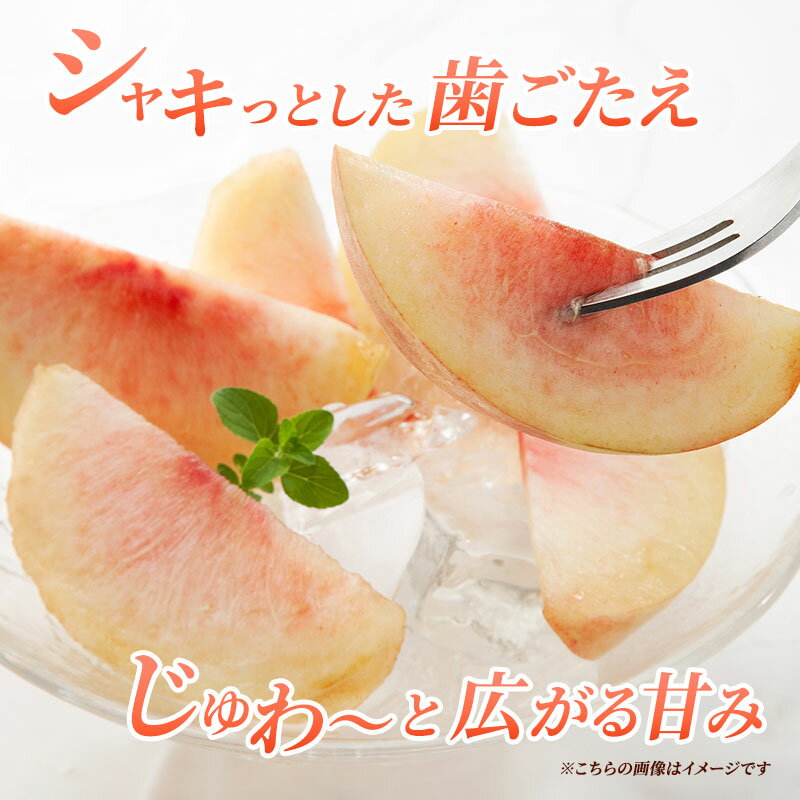 【ふるさと納税】先行予約 2026年発送 浅間水蜜桃 もも 川中島白桃 選べる容量(「浅間水蜜桃プレミアム」 秀品 約2kg 5～9玉/秀品 約5kg) 長野県産 小諸市 桃 果物 フルーツ モモ 果肉　お届け：2026年8月上旬～8月中旬 ※天候によりお届け時期が前後する場合があります。 - 画像3