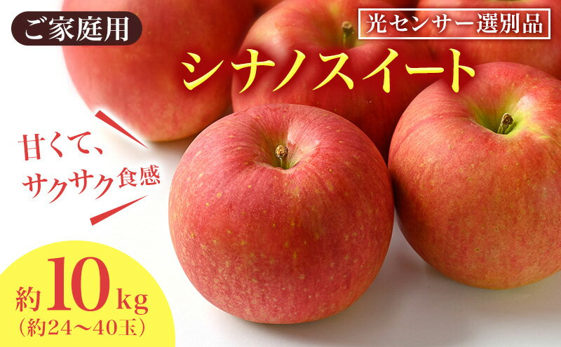【ふるさと納税】りんご シナノスイート 家庭用 約10kg フルーツ 果物 甘い 訳あり おいしい 林檎　お届け：2026年10月中旬～11月上旬 - 画像2