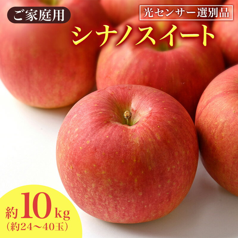 りんご シナノスイート 家庭用 約10kg フルーツ 果物 甘い 訳あり おいしい 林檎　お届け：2026年10月中旬～11月上旬