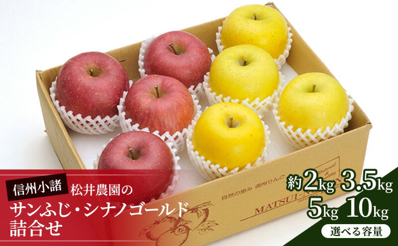 【ふるさと納税】信州小諸　松井農園のサンふじ・シナノゴールド詰合せ 選べる容量 (約2kg～約10kg) 果物類・林檎・りんご・リンゴ　お届け：2025年12月上旬～2026年1月中旬 サムネイル2
