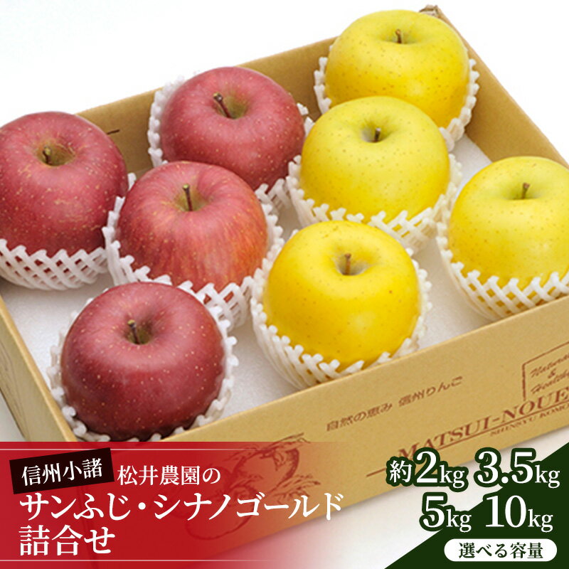 信州小諸　松井農園のサンふじ・シナノゴールド詰合せ 選べる容量 (約2kg～約10kg) 果物類・林檎・りんご・リンゴ　お届け：2025年12月上旬～2026年1月中旬