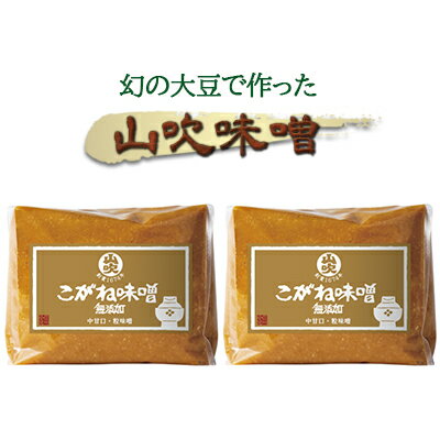 味噌 山吹味噌 黄金 1kg×2 セット 信州味噌 みそ ミソ 熟成 信州 信州みそ 無添加 調味料 小分け 長野県 長野 　お届け：寄附入金確認後、1ヶ月以内に発送いたします。