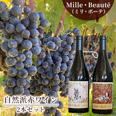 Mille・Beauté (ミリ・ボーテ）無添加 無濾過 赤ワイン 2本セット お酒 晩酌 家飲み 宅飲み 飲み比べ ワイン飲み比べ 自生酵母 6か月間熟成 香り豊か 深い味わい 香り 果実味
