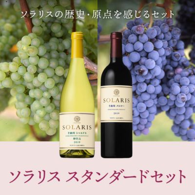 ソラリス スタンダードセット ワインセット ワイン 赤ワイン 白ワイン フレッシュ 果実香 ほどよい酸味 アロマ 果実味 タンニン