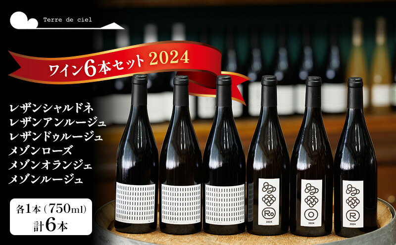【ふるさと納税】ワイン 6本セット 赤ワイン 白ワイン お酒 酒 アルコール 長野県 小諸市 小諸 ギフト プレゼント サムネイル2