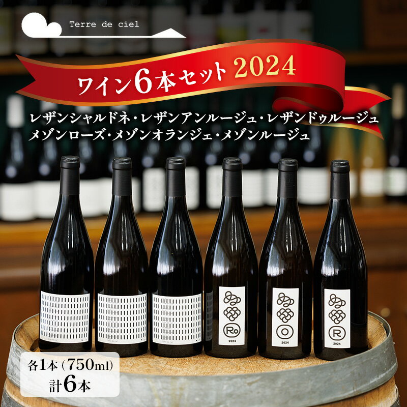 ワイン 6本セット 赤ワイン 白ワイン お酒 酒 アルコール 長野県 小諸市 小諸 ギフト プレゼント