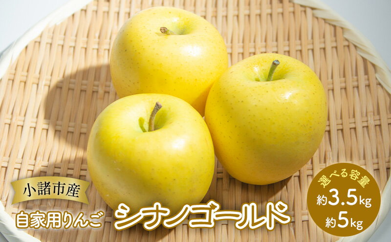 【ふるさと納税】りんご 自家用りんご シナノゴールド 選べる容量 (約3.5kg～約5kg) 信州りんご リンゴ 林檎 果物 くだもの フルーツ 信州 長野　お届け：2025年11月上旬～2026年1月下旬 サムネイル2