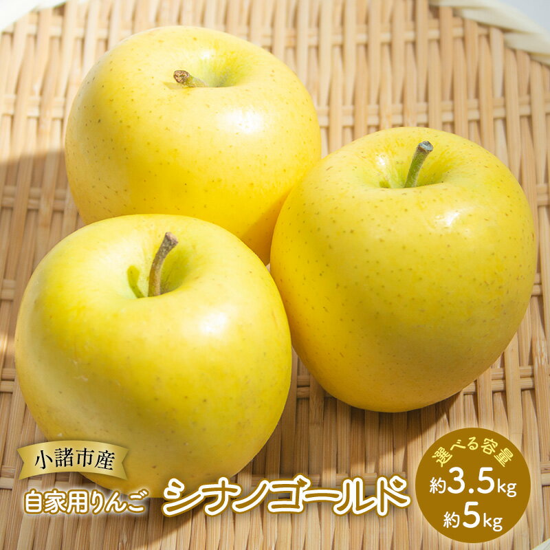 りんご 自家用りんご シナノゴールド 選べる容量 (約3.5kg～約5kg) 信州りんご リンゴ 林檎 果物 くだもの フルーツ 信州 長野　お届け：2025年11月上旬～2026年1月下旬