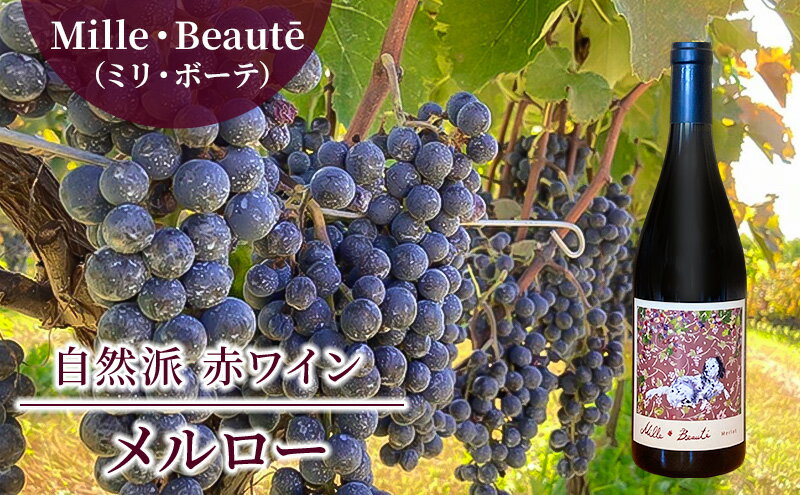 【ふるさと納税】Mille・Beauté（ミリ・ボーテ）メルロー 無濾過 赤ワイン サムネイル2