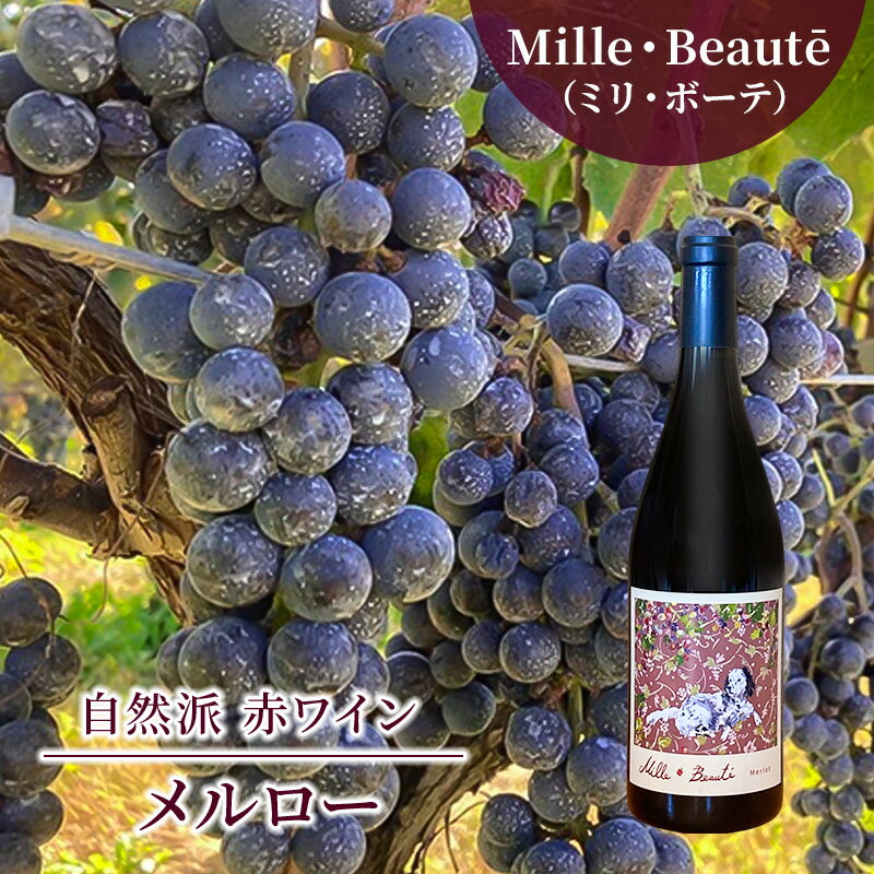 Mille・Beauté（ミリ・ボーテ）メルロー 無濾過 赤ワイン
