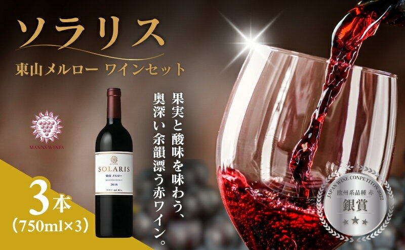 【ふるさと納税】ソラリス 東山メルロー ワインセット 750ml×3本 赤ワイン お酒 ぶどう酒 晩酌 おうちディナー 飲み物 家飲み 宅飲み 果実香 複雑 おだやかな酸味 タンニン サムネイル2