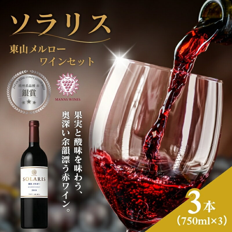 ソラリス 東山メルロー ワインセット 750ml×3本 赤ワイン お酒 ぶどう酒 晩酌 おうちディナー 飲み物 家飲み 宅飲み 果実香 複雑 おだやかな酸味 タンニン