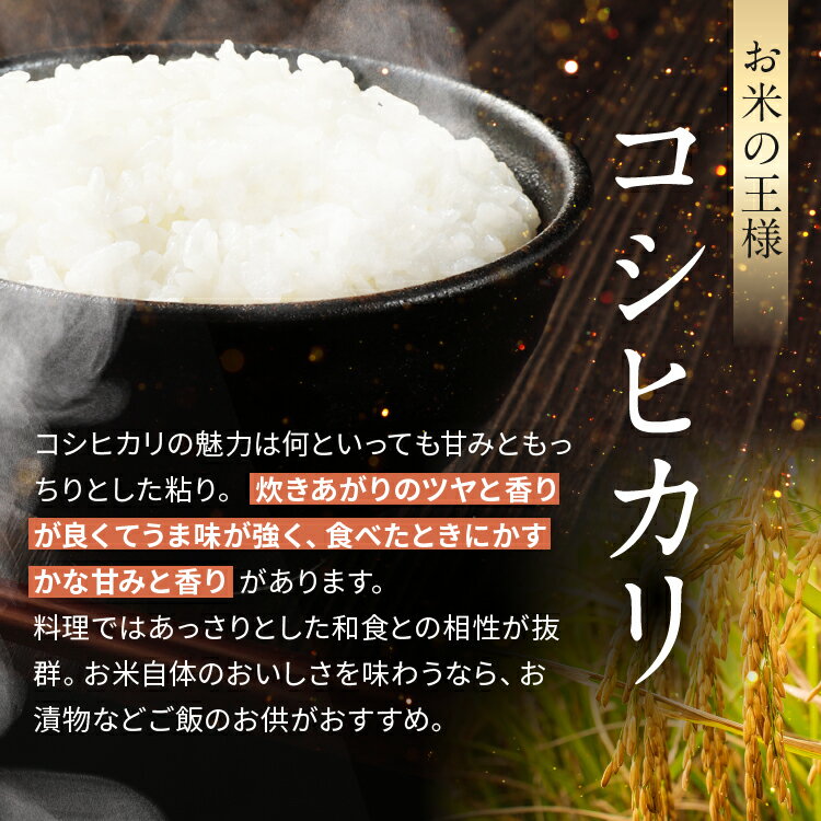 【ふるさと納税】 米 5kg 10kg コシヒカリ 令和7年産 JA上伊那 コシヒカリ 今ずり米 長野 上伊那産 お米 長野県産 こしひかり 5キロ 10キロ 選べる白米 精米 信州産 特産 産地直送 おすすめ こめ コメ おこめ 送料無料 長野県 伊那市 - 画像2