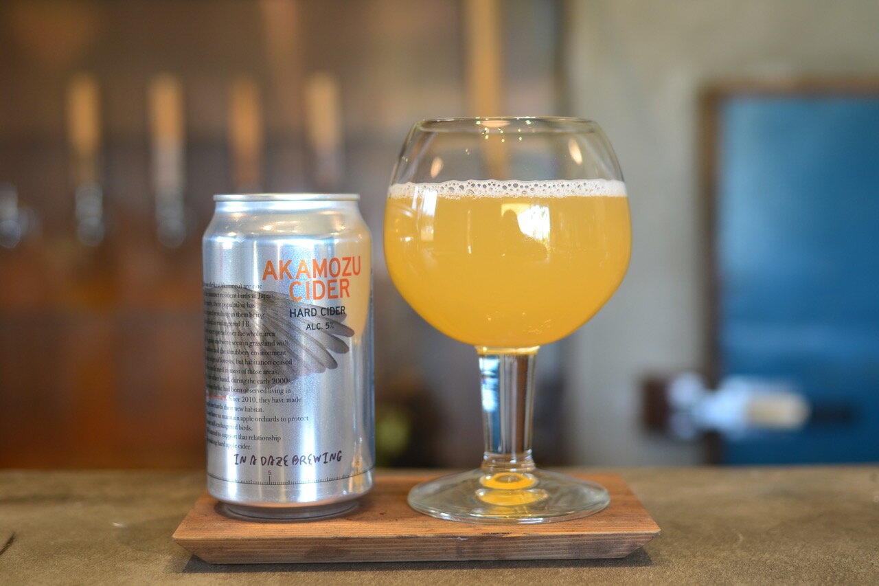 【ふるさと納税】伊那の果物で醸す、フルーティーなクラフトビール6本セット　350mL缶×6本（種類お任せ　3種以上）【017-18】 サムネイル2