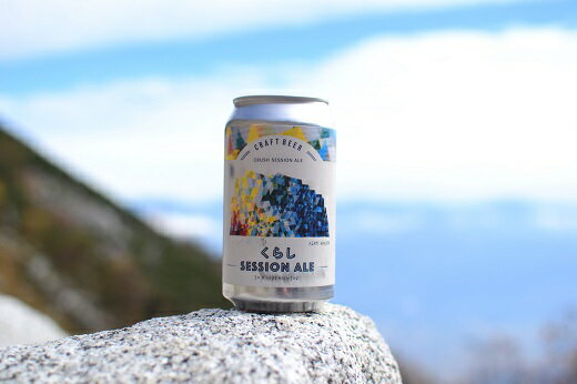 【ふるさと納税】伊那で醸す、こだわりのクラフトビール6本セット　350mL缶×6本【014-43】｜|伊那市 長野県 信州 クラフトビール スペシャル お酒 アルコール ビール サムネイル3