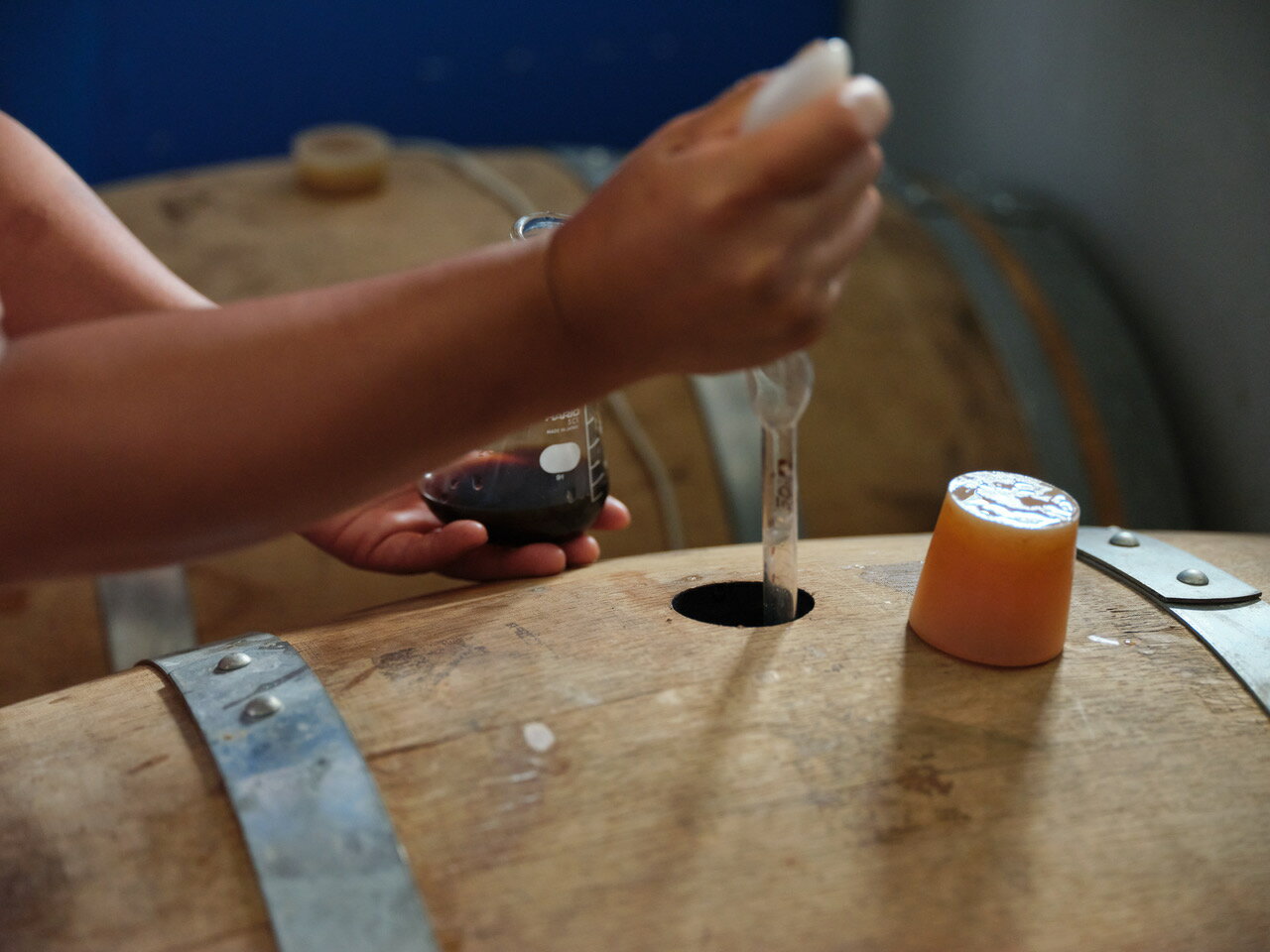 【ふるさと納税】伊那で醸す、ワイン樽熟成のスペシャルクラフトビール740ml×3本セット （熟成度合いがボトルごと異なります。山ぶどうを使用したビールを熟成。ワインのような味わい）|伊那市 長野県 信州 クラフトビール スペシャル お酒 アルコール ビール サムネイル3