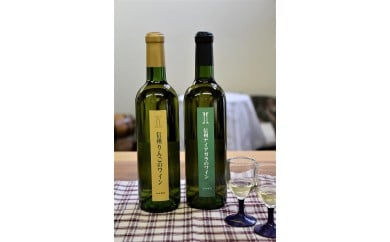 伊那ワイン工房　ワイン2本セット（信州ナイアガラと信州リンゴのワイン）｜伊那 ワイン お酒 アルコール 飲料 信州 ナイアガラ リンゴ 果実酒 フルーツワイン 飲み比べ ふるさと納税 長野県