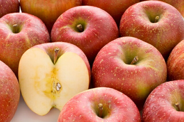 選べる サンふじ　訳ありリンゴ　5kg or 10kg【010-a9】｜りんご サンふじ 甘い 訳あり品 美味しい フルーツ 伊那 伊那産 長野県 ふるさと納税