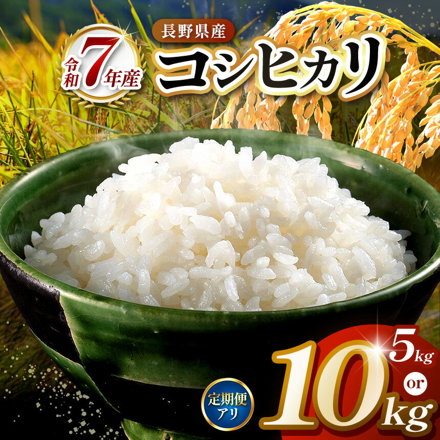 【選べる】定期便 令和7年度　伊那市田原産米　コシヒカリ　5キロ or 10キロ 【014-50】【027-17】｜ 米 コシヒカリ 田原産 お米 伊那 伊那産 長野県 ふるさと納税