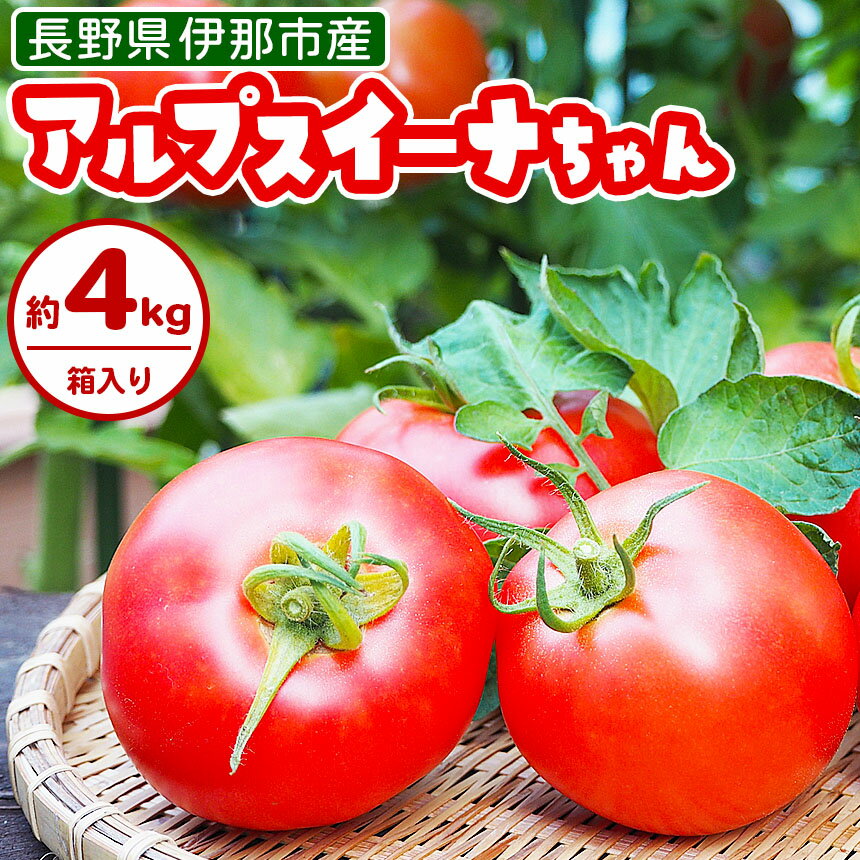 アルプスイーナちゃん トマト（4キロ箱入り）【010-07】｜伊那市 収穫 美味しい トマト 甘さ 酸味 バランス 濃厚 味 おいしい 空気 ふるさと納税