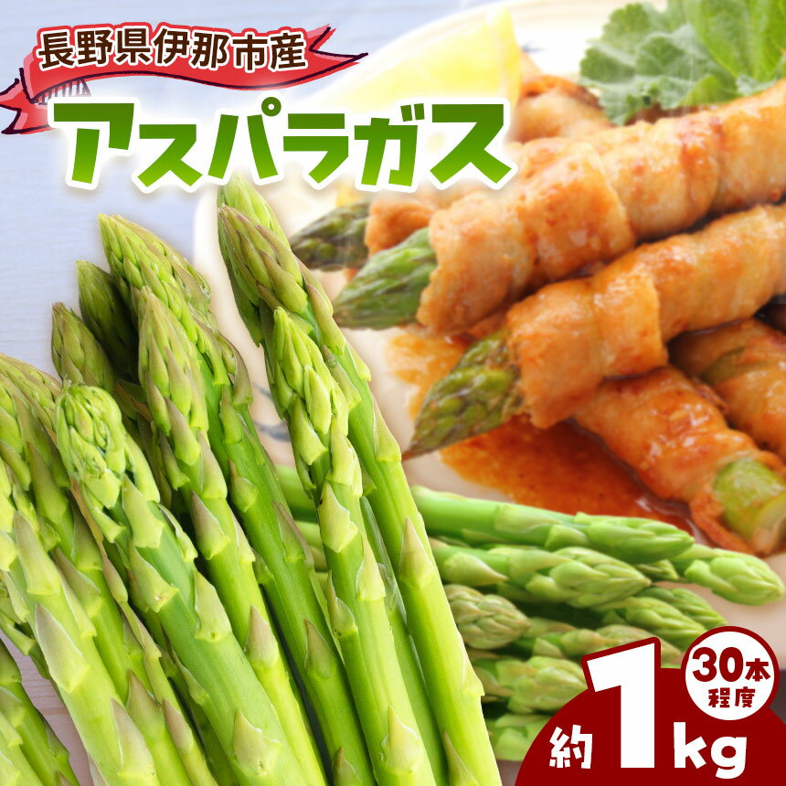アスパラ 伊那市産 アスパラガス 約1kg Lサイズ 約30本 | 野菜 アスパラガス 焼く 茹でる だけで 主役級 伊那市 長野県 ふるさと納税