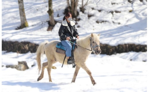 【ふるさと納税】里山で乗馬体験（馬のブラシがけと乗馬でむらをお散歩）1人から5人まで可能【055-12】｜長野県 伊那市 信州 馬 乗馬 乗馬体験 体験 散歩 ふるさと納税 - 画像2