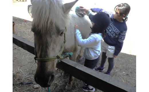 【ふるさと納税】里山で乗馬体験（馬のブラシがけと乗馬でむらをお散歩）1人から5人まで可能【055-12】｜長野県 伊那市 信州 馬 乗馬 乗馬体験 体験 散歩 ふるさと納税 - 画像3