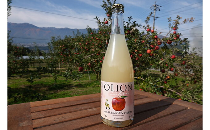【ふるさと納税】【信州産りんご】甘口シードル「OLION」（750ml×1本） お酒 リンゴ アルコール サムネイル2