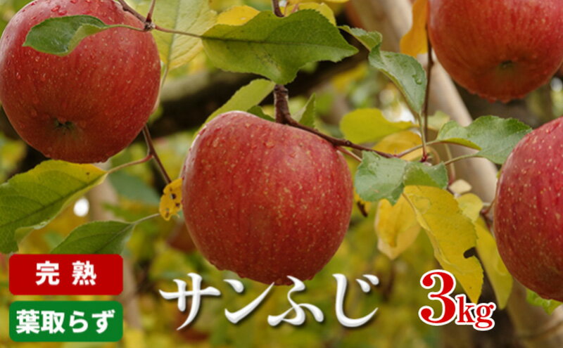 【ふるさと納税】りんご 長野 完熟 サンふじ 3kg 葉取らず 産地直送 フルーツ 果物 デザート おやつ サンフジ リンゴ 林檎 秋 旬 冬 旬の果物 旬のフルーツ 信州 信州産 長野県 長野県産 2025 2025年　お届け：2025年12月上旬～2026年1月中旬まで サムネイル2
