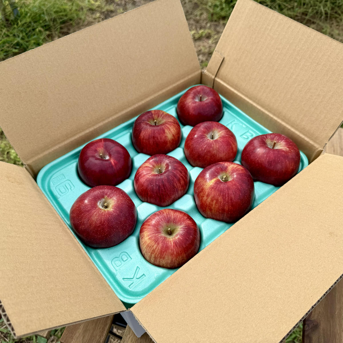 【ふるさと納税】りんご 長野 完熟 サンふじ 3kg 葉取らず 産地直送 フルーツ 果物 デザート おやつ サンフジ リンゴ 林檎 秋 旬 冬 旬の果物 旬のフルーツ 信州 信州産 長野県 長野県産 2025 2025年　お届け：2025年12月上旬～2026年1月中旬まで サムネイル3