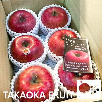 【ふるさと納税】【2025年発送分】=信州中野の旬をお届け= サンふじ　贈答用　大玉5～6玉入り【高丘フルーツ】　_ りんご 林檎 リンゴ サンフジ フルーツ 果物 ふるーつ くだもの 国産 旬 ギフト 贈答 【1296935】 サムネイル2