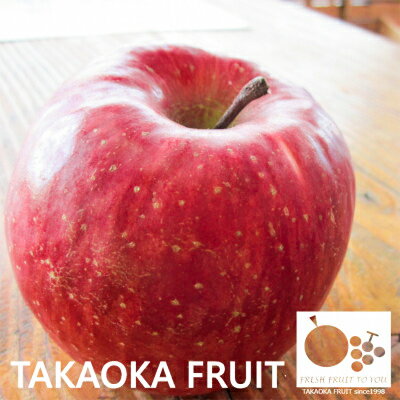 【ふるさと納税】【2025発送分】=信州中野の旬をお届け= サンふじ　贈答用　5kg(11～18玉)【高丘フルーツ】_ リンゴ りんご 林檎 サンふじ 果物 くだもの フルーツ ふるーつ 国産 信州 長野 贈答 ギフト 産地直送 送料無料 おすすめ 人気 お取り寄せ 旬 5kg 【1297195】 サムネイル3